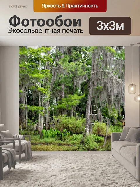 Фотообои Испанский мох на деревьях