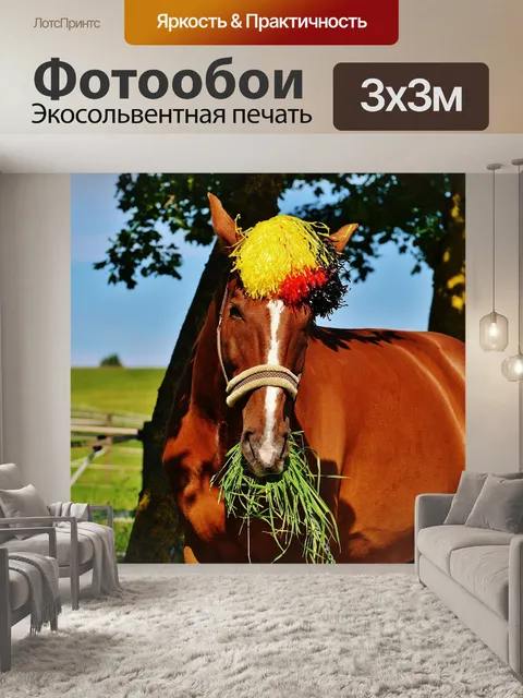 Фотообои Чемпионат европы