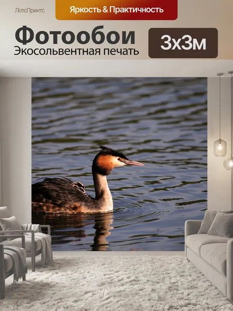 Фотообои Птица
