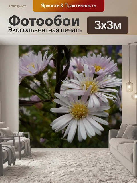 Фотообои Белый цветок желтый пестик