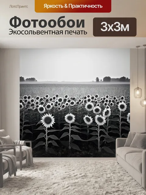 Фотообои черно-белый: поле подсолнухов, застывших в ожидании, под серым небом