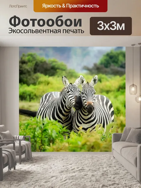 Фотообои Zebra Pair