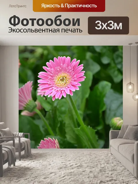 Фотообои Цветок