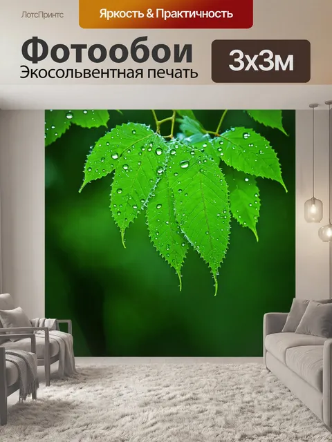 Фотообои зеленые в стиле скетч, с детальным изображением листьев, капель росы и паутинок