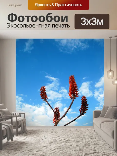 Фотообои алоэ цветы против голубого неба