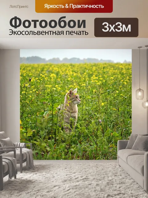Фотообои Кот