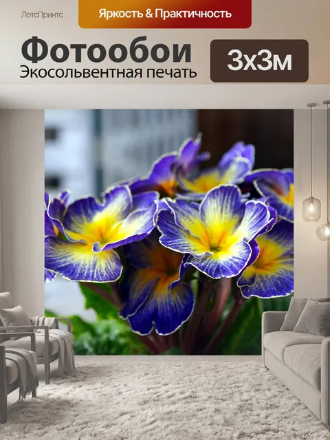 Фотообои Первоцветы