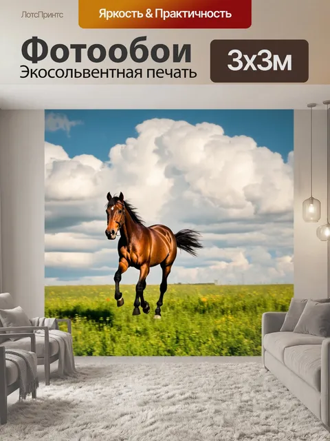 Фотообои лошадь, бегающая по луге среди кучерявых облаков