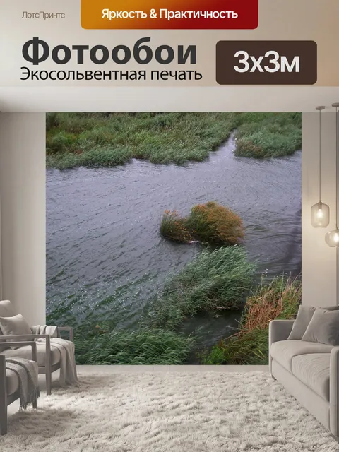 Фотообои переполнение плотины риетвлей камышами