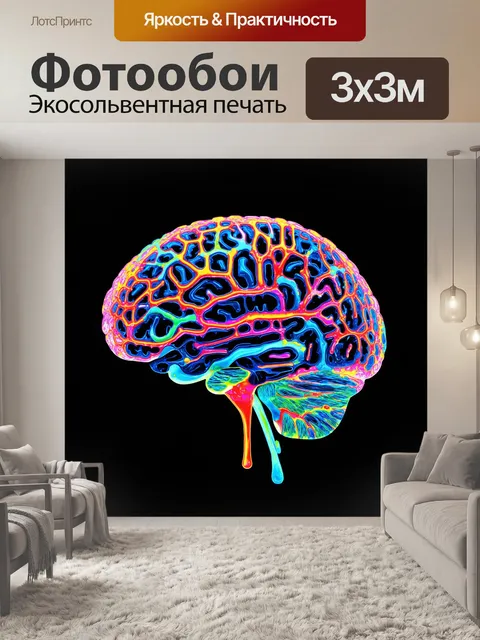 Фотообои гладкая поверхность поперечного сечения головного мозга