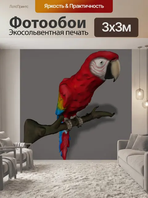 Фотообои Попугай