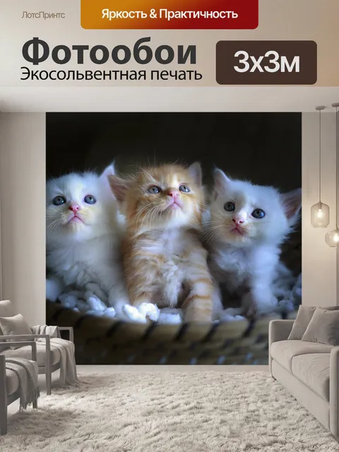 Фотообои Коты