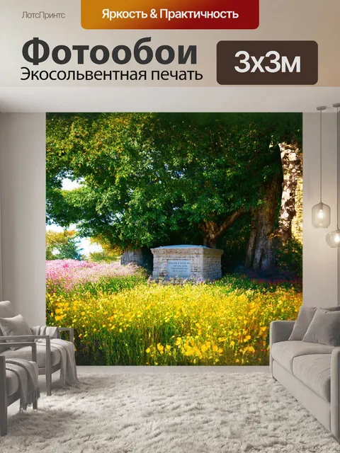 Фотообои на переднем плане — гробница царя давида