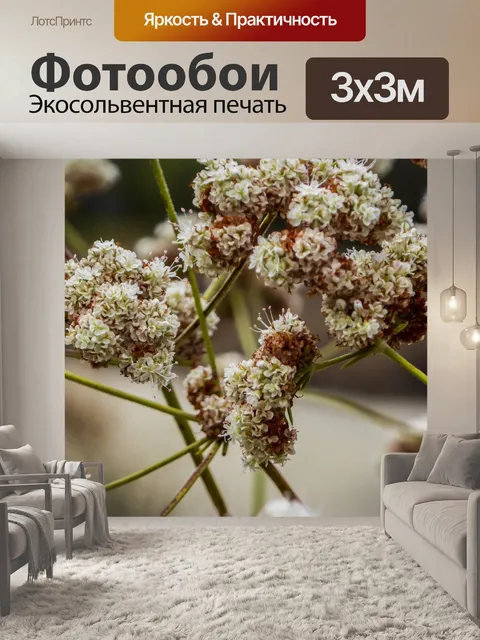 Фотообои Полевые цветы в красном и белом