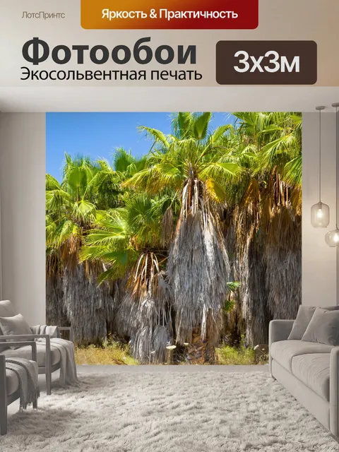 Фотообои Неоткрытые пальмы