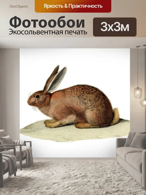 Фотообои Винтажный арт-кролик