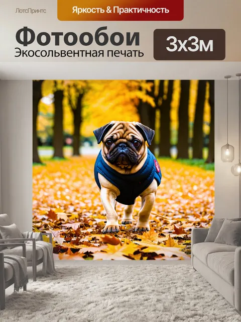 Фотообои мопс, гуляющий по осеннему парку, листья под ногами, тёплая одежда