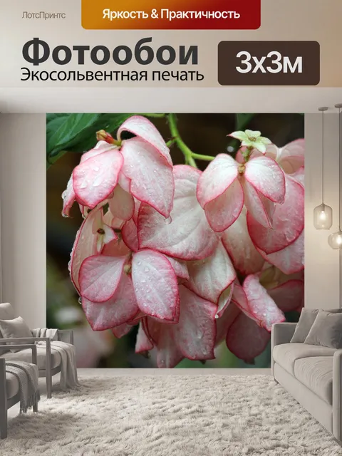 Фотообои розовые цветы 1