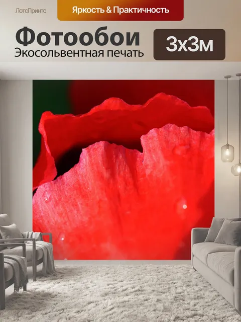 Фотообои Края красного мака
