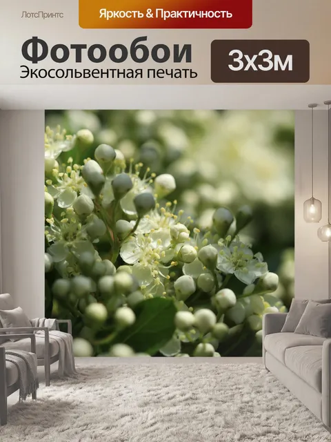 Фотообои Терновник