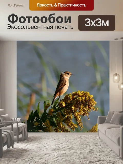 Фотообои Животное