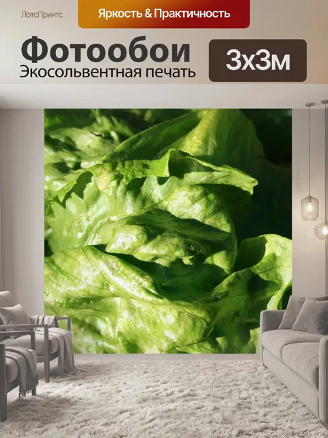 Фотообои салат голова