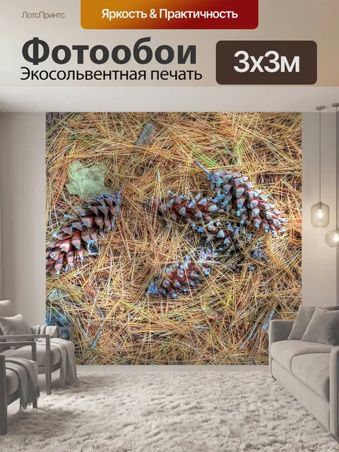 Фотообои Сосновый конус