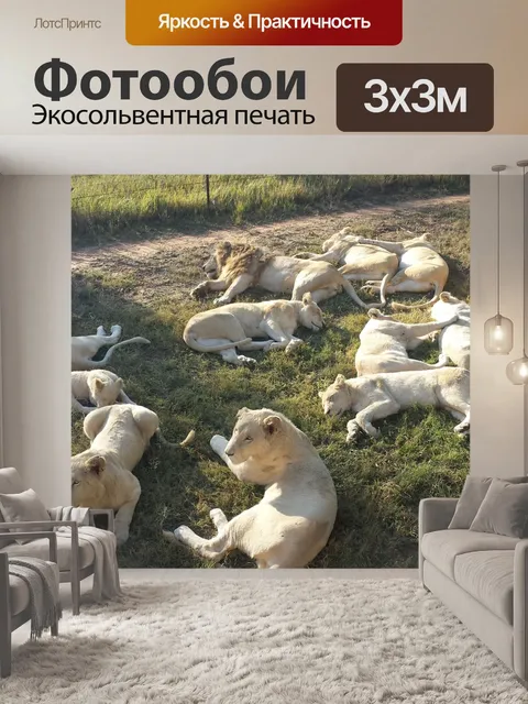 Фотообои Белые львы
