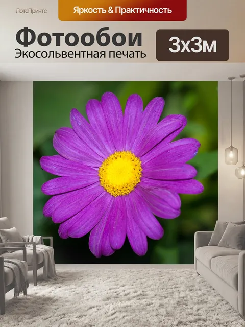 Фотообои Цветок