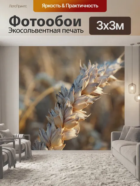 Фотообои Пшеница