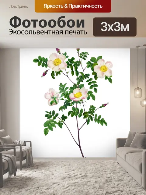 Фотообои Роза цветок старинная картина