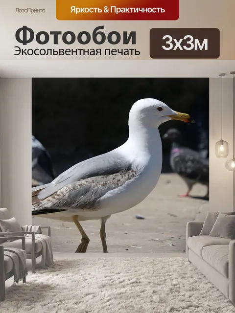 Фотообои Птицы