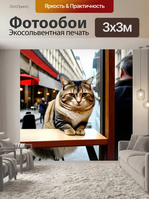 Фотообои кот, смотрящий на людей на улице через кафе