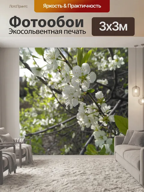 Фотообои Абрикос