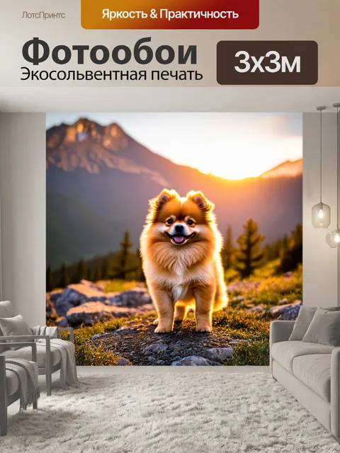 Фотообои щенок померанского шпца