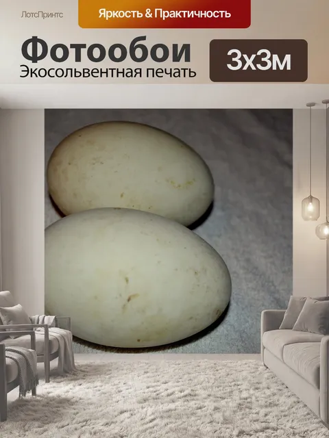 Фотообои Гусиные яйца