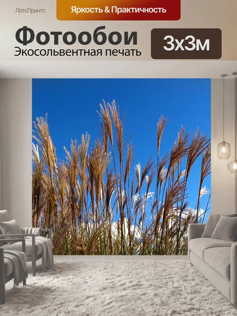 Фотообои Травы и голубое небо