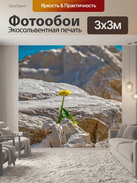 Фотообои Одуванчик