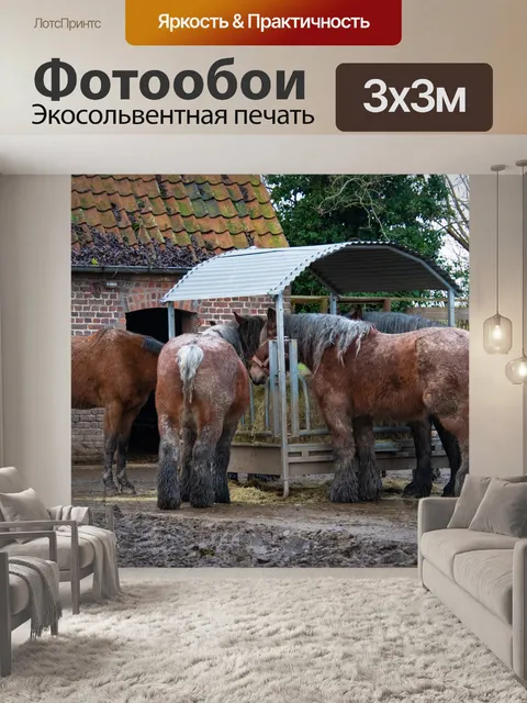 Фотообои Упряжные лошади