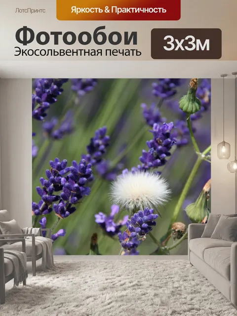 Фотообои Поле лаванды