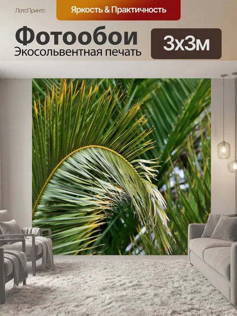 Фотообои арочные пальмовых листьев
