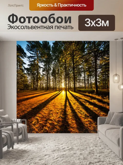 Фотообои лес с тенями, бросаемыми деревьями во время заката