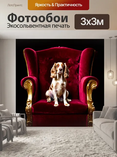Фотообои спаниель сидит величественно на бархатном троне