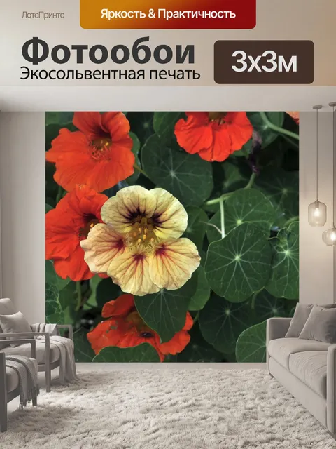 Фотообои Анютины глазки