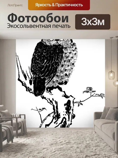 Фотообои Сова