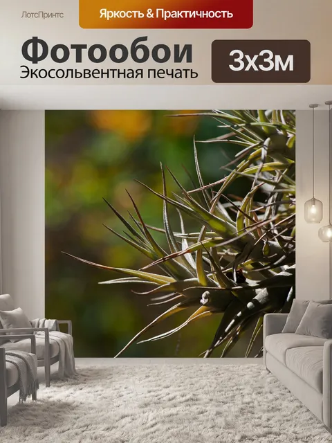 Фотообои заостренные острые листья в скоплении