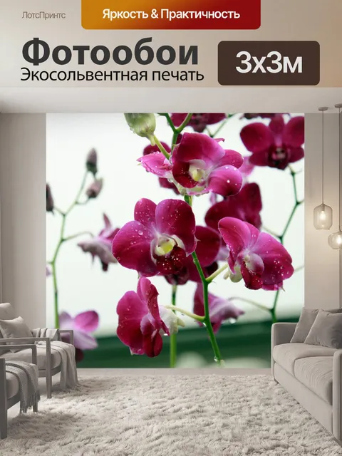 Фотообои Цветок орхидеи цветы