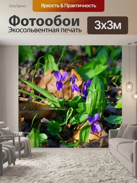 Фотообои Лесные фиалки