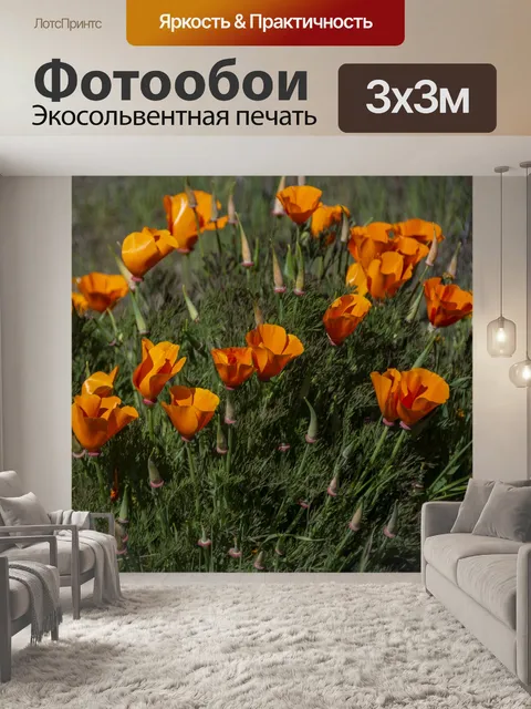 Фотообои мак