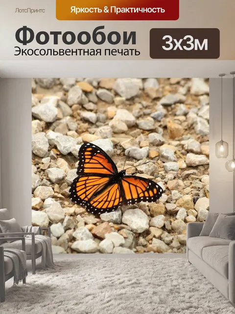 Фотообои Монархическая бабочка в скалах